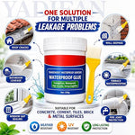 Transparent Waterproof Crack Seal Glue (300g) with Free Application Brush